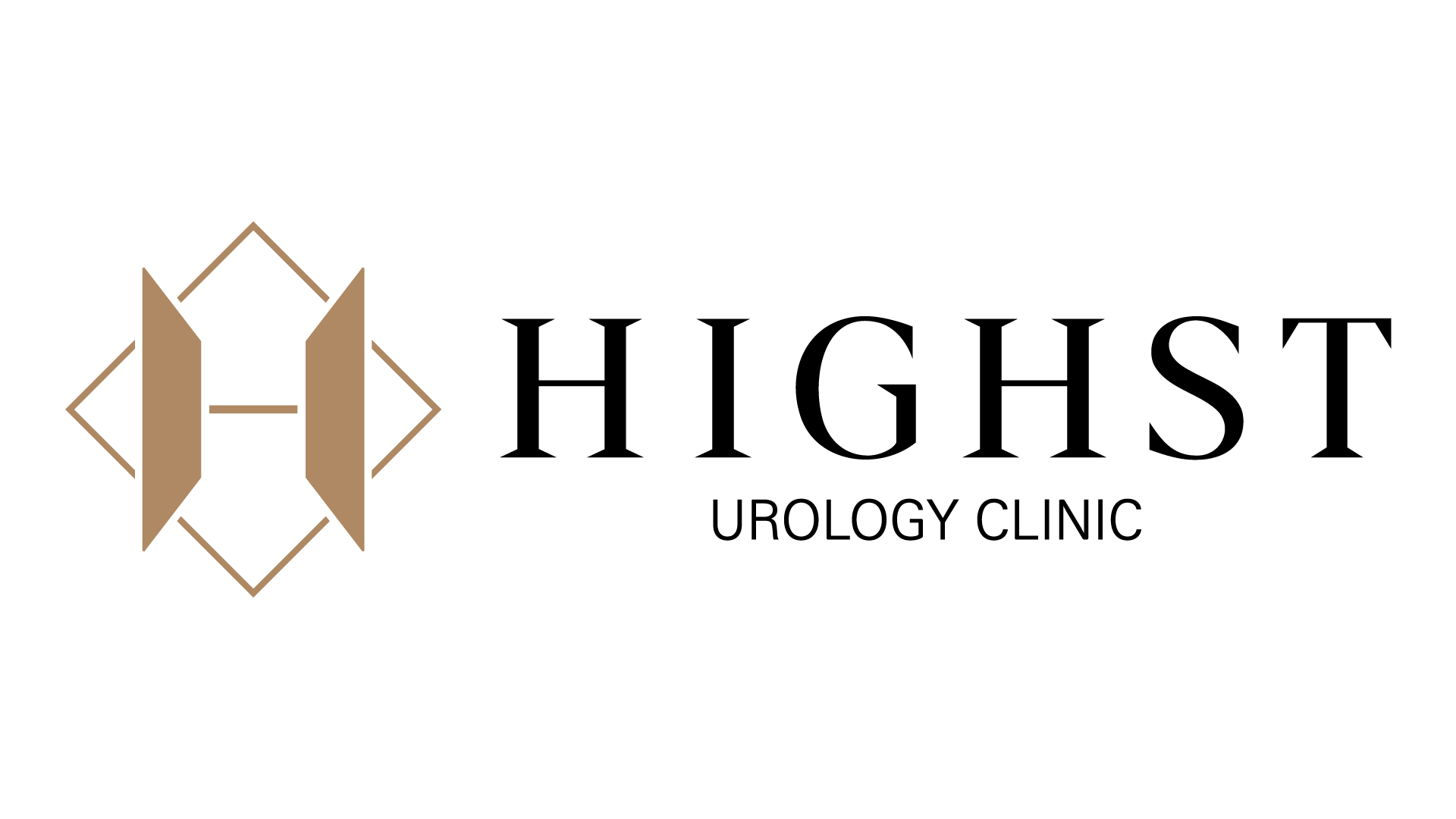 6 logo highst